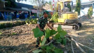 Khusus Bersih-Bersih Lapangan Upacara TMMD
