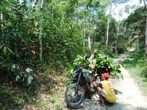 Bantu Mbah Kalim Cari Rambahan Ternak, Serda Tri Teringat Pengalaman Waktu Kecil