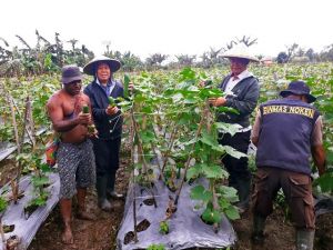 Panen Raya Sayur dan Buah, Musa Onawame: OAP Dimanusiakan oleh Polri