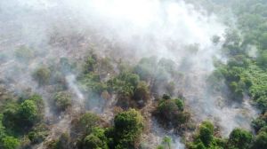 Lagi, Karhutla di Parit 8 Tanjabbar, Tim PT WKS Turun Jinakkan Api