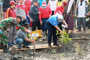 Lepas Lomba Lintas Alam, Bupati Safrial Promosikan Wisata Magrove Pangkal Babu