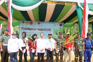 Tanam Magrove Meriahkan Hari Konservasi Alam Nasional  2019