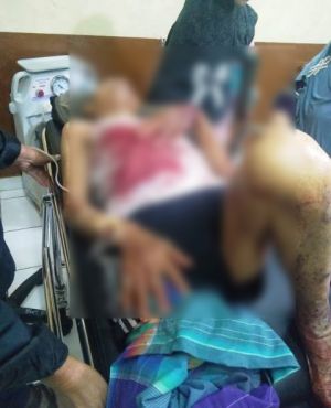 Babi Hutan Mengamuk Masuki Rumah Warga Di Pendung Tengah