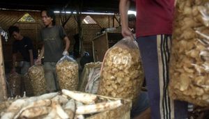 Keripik Singkong Bojonegoro Go International, Pertama Kali Diekspor ke Cina