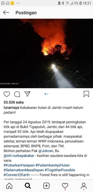 Komentari Karhutla di Jambi, Luna Maya dan Sejumlah Artis Kok Sebut WWF-Indonesia