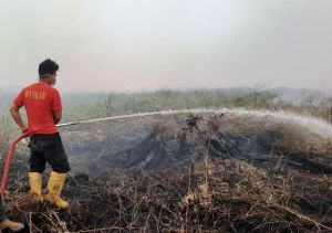 Bahaya Penyakit Ancam Petugas Damkar Karhutla, Hanya Bermodalkan Masker Berhari-hari di Kepulan Asap