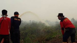 Taklukkan Api di Desa Jatimulyo Tanjabtim, Petugas Damkar Ini Sudah Berhari-hari di Lokasi