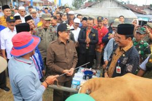 Fachrori: Inseminasi Buatan Upaya Kita Memajukan Peternakan