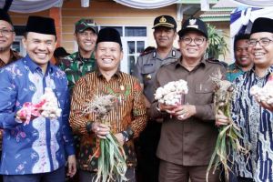 Kurangi Impor China, Kerinci Bakal Jadi Lumbung Benih Bawang Putih Secara Nasional