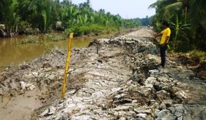 Pembangunan Tanggul di Parit V Tungkal Ilir Jebol, Diduga Ini Penyebabnya