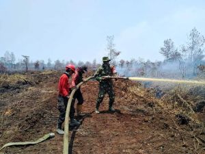 Kabut Asap di Tanjabtim Makin Pekat, di Jembatan Penyebrangan Muara Sabak Jarak Pandang 100 Meter
