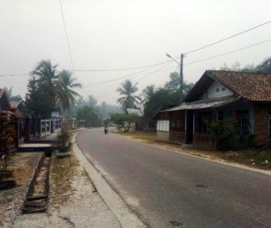 Kabut Asap Selimuti Rantau Panjang Merangin, Warga: Mata Jadi Sakit