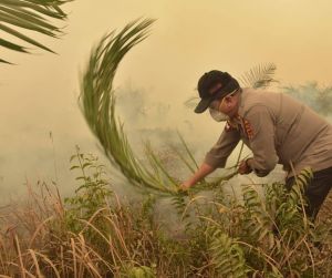 Kapolda Ikut Padami Karhutla di Desa Puding Muaro Jambi 