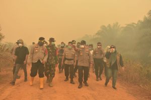 Polda Jambi Tetapkan 37 Tersangka Karhutla, Satu  Korporasi Naik Penyidikan