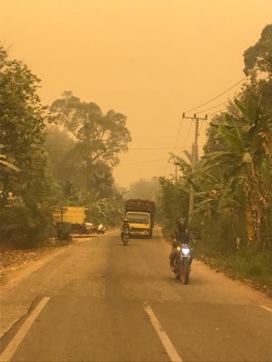 Kualitas Udara Membaik, Hari Ini Siswa di Kota Jambi Mulai Masuk Sekolah
