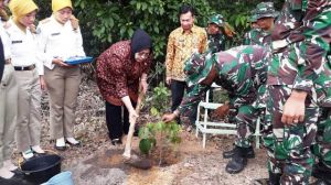 TNI Taman Ribuan Pohon Serentak di Wilayah Jambi