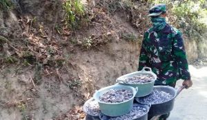 Semakin Lihai Kendalikan Angkong