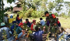 Dengan Bahasa Sederhana Babinsa Sosialisasikan Bela Negara ke Warga