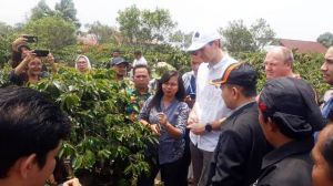 Hari ini, Koperasi Petani Barokah Kerinci Jambi Ekspor Perdana 15,6 Ton Kopi Ke Belgia