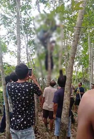 Pria Ini Ditemukan Tergantung di Pohon Karet Setelah Bayar Hutang dan Minta Maaf ke Kerabat