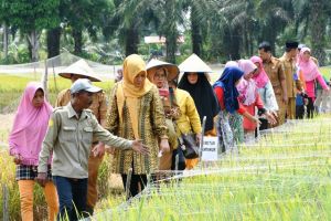 Yunninta Gagas Program Bantuan Untuk Orang Lanjut Usia Di Batanghari