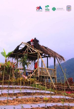 6 Desa di Jangkat Bersepakat Selamatkan TNKS melalui Pemanfaatan Lahan Kritis