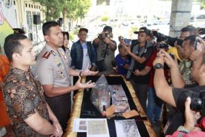 Polisi Amankan Pelaku Penebang Pohon Rimba di Hutan Lindung Perhutani Ciamis