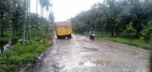 Jalan Milik Provinsi Yang di Tanjabtim Butuh Perhatian Khusus