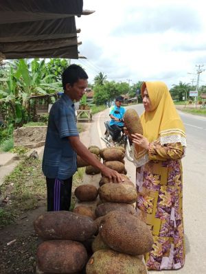 Manfaatkan Musim Cempedak, Yunninta Dorong Produk Olahan Sebagai Tambahan Pendapatan
