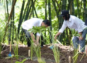 Bersama Warga, Presiden Jokowi Hijaukan Desa Jatisari, Wonogiri dengan Sistem Agroforestry