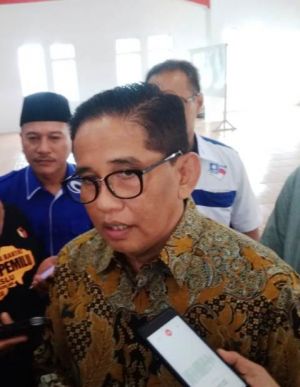 Pilih Jalur Perseorangan, PAN Jambi Tentukan Nasib Romi - Robi Malam Ini