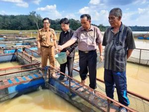 Cek Dam Betuk di Tabir, Komisi II DPRD Merangin: Budidaya Ikan Lokal Perlu Dibangkitkan