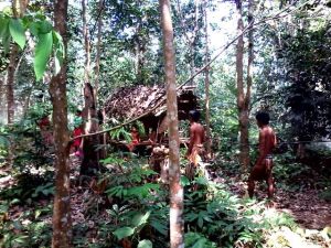 Berkat Tradisi Jaga Jarak Orang Rimba Masih Ada Sampai Sekarang
