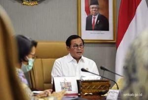 Presiden Minta Puskesmas Diperkuat Untuk Uji Sampel dan Penelusuran Kasus Covid-19