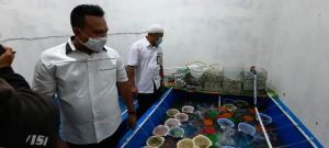 Ditkrimsus Polda Jambi Gagalkan Penyeludupan Puluhan Ribu Baby Lobster