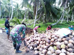 Anggota Satgas Juga Ikut Bantu Warga Kupas Buah Kelapa