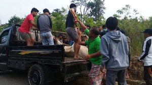 2 Sapi Kurban di RT 73 Alam Barajo Jambi Lepas, Satu Diantaranya Masih Berkeliaran