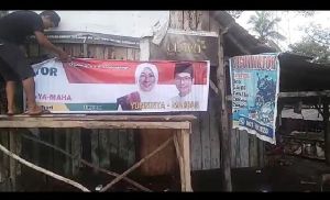 Turunkan Spanduk Calon Lain, Warga Antusias Pasang Spanduk YA-Maha di Lapaknya