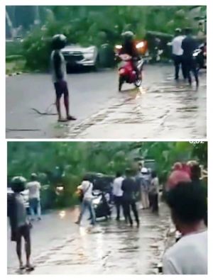 Hujan Deras Tumbangkan 7 Pohon di Kota Jambi, Di Kotabaru Timpa Mobil