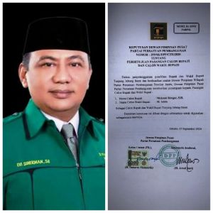 Resmi Usung Mulyani - Amin di Tanjabbar, PPP Batalkan Rekom ke Cici - Jalil