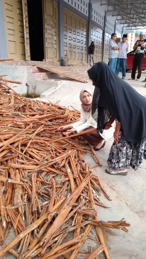 Ratu Kunjungi Pabrik Kayu Manis Yang Sudah Ekspor Hampir 300 Ton Per Bulan