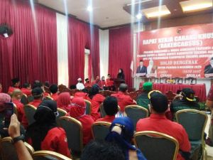 Di Hadapan Kader PDIP Tanjabbar, Ratu Sampaikan Visi 