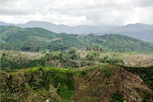 17 Desa Usulkan Dana Afirmatif