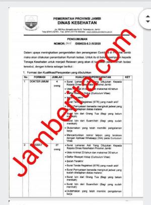 Dinkes Provinsi Jambi Rekrut 4 Dokter Umum hingga 27 Perawat, Ini Persyaratan dan Jadwalnya