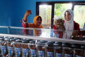 Cicipi Abon Ikan Patin Produksi Desa Pudak, Ratu: Saya Suka, Ayo Konsumsi Makanan Sehat