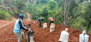 Berbaur bersama Masyarakat di Lokasi TMMD, Satgas ini Bantu Warga Angkat Hasil Taninya