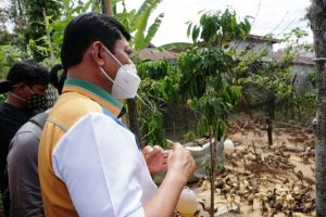 Lihat Peternakan Itik, Syafril: Usaha Masyarakat Seperti Ini Akan Terus Dikembangkan