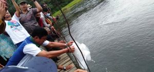 Syafril Tebar Benih ikan Semah dan Medik di Sungai Batang Merangin