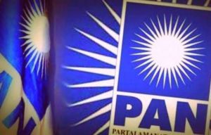 Edy Syam Ditunjuk Jadi Plt Ketua PAN Kota Jambi