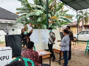 Haris - Sani Menang Telak Di TPS HBA